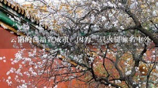 云南的曲靖宣威市,因为一只火腿驰名中外,这到底是怎么一回事? 云南的曲靖宣威市,因为一只火腿驰名中外,这到底是怎么一回事?