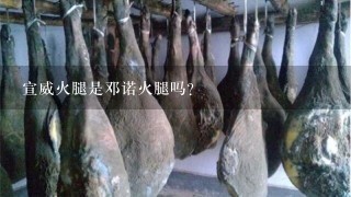 宣威火腿是邓诺火腿吗? 宣威火腿是邓诺火腿吗?
