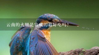 云南的火腿是宣威的最好吃吗? 云南的火腿是宣威的最好吃吗?