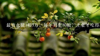 最贵火腿1根3万,每年只卖80根,土豪才吃得起! 最贵火腿1根3万,每年只卖80根,土豪才吃得起!