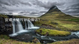 宣威火腿月饼的做法? 宣威火腿月饼的做法?