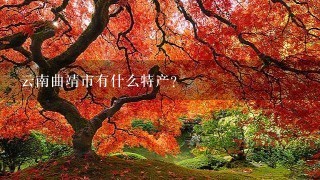 云南曲靖市有什么特产? 云南曲靖市有什么特产?