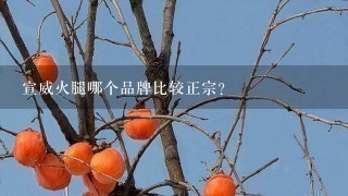 宣威火腿哪个品牌比较正宗? 宣威火腿哪个品牌比较正宗?