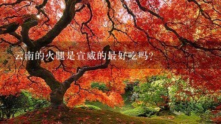 云南的火腿是宣威的最好吃吗? 云南的火腿是宣威的最好吃吗?