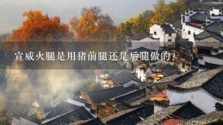 宣威火腿是用猪前腿还是后腿做的? 宣威火腿是用猪前腿还是后腿做的?