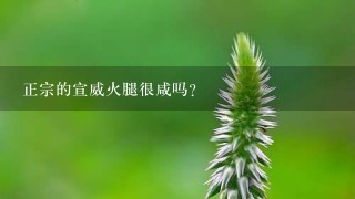 正宗的宣威火腿很咸吗? 正宗的宣威火腿很咸吗?