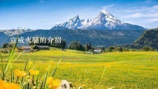 宣威火腿的介绍 宣威火腿的介绍