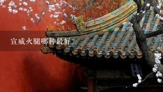 宣威火腿哪种最好? 宣威火腿哪种最好?