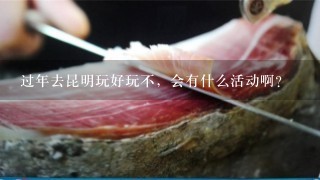 过年去昆明玩好玩不,会有什么活动啊? 过年去昆明玩好玩不,会有什么活动啊?