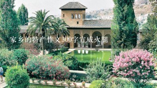 家乡的特产作文300字宣威火腿 家乡的特产作文300字宣威火腿