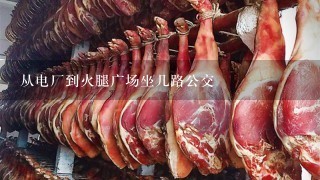 从电厂到火腿广场坐几路公交 从电厂到火腿广场坐几路公交