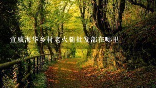 宣威海华乡村老火腿批发部在哪里 宣威海华乡村老火腿批发部在哪里