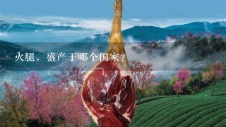 火腿,盛产于哪个国家? 火腿,盛产于哪个国家?
