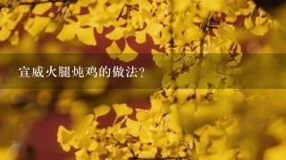 宣威火腿炖鸡的做法? 宣威火腿炖鸡的做法?