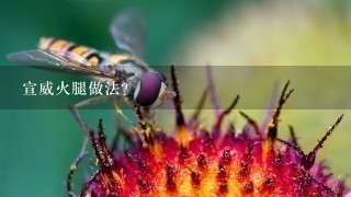 宣威火腿做法? 宣威火腿做法?