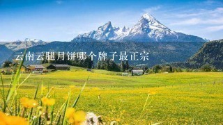 云南云腿月饼哪个牌子最正宗 云南云腿月饼哪个牌子最正宗