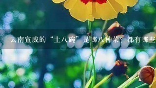 云南宣威的“土八碗”是哪八种菜?都有哪些特色? 云南宣威的“土八碗”是哪八种菜?都有哪些特色?