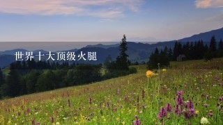 世界十大顶级火腿 世界十大顶级火腿