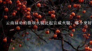 云南禄劝的撒坝火腿比起宣威火腿,哪个更好吃一点? 云南禄劝的撒坝火腿比起宣威火腿,哪个更好吃一点?