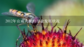 2012年宣威火腿的行业发展状况 2012年宣威火腿的行业发展状况