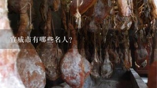 宣威市有哪些名人? 宣威市有哪些名人?