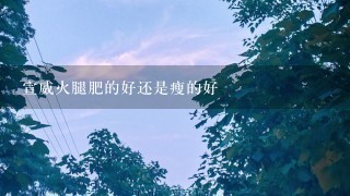 宣威火腿肥的好还是瘦的好 宣威火腿肥的好还是瘦的好