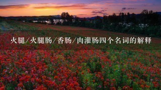 火腿/火腿肠/香肠/肉灌肠四个名词的解释 火腿/火腿肠/香肠/肉灌肠四个名词的解释