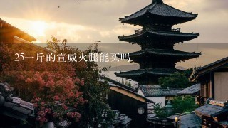 25一斤的宣威火腿能买吗 25一斤的宣威火腿能买吗