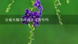 宣威火腿冷冻两年还能吃吗 宣威火腿冷冻两年还能吃吗
