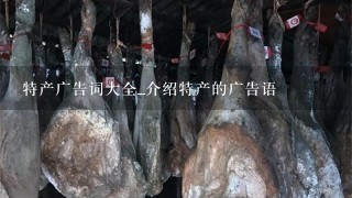 特产广告词大全_介绍特产的广告语 特产广告词大全_介绍特产的广告语