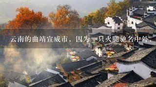 云南的曲靖宣威市,因为一只火腿驰名中外,这到底是怎么一回事? 云南的曲靖宣威市,因为一只火腿驰名中外,这到底是怎么一回事?