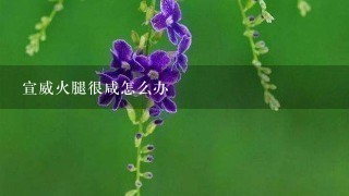 宣威火腿很咸怎么办 宣威火腿很咸怎么办