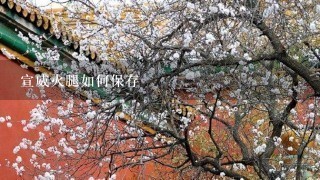 宣威火腿如何保存 宣威火腿如何保存