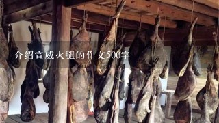 介绍宣威火腿的作文500字 介绍宣威火腿的作文500字