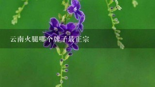 云南火腿哪个牌子最正宗 云南火腿哪个牌子最正宗