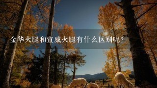 金华火腿和宣威火腿有什么区别呢? 金华火腿和宣威火腿有什么区别呢?