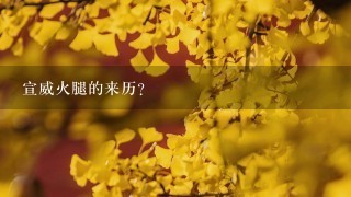 宣威火腿的来历? 宣威火腿的来历?