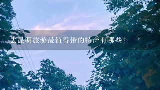 去昆明旅游最值得带的特产有哪些? 去昆明旅游最值得带的特产有哪些?