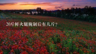 20斤鲜火腿腌制后有几斤? 20斤鲜火腿腌制后有几斤?