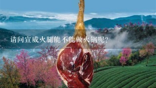 请问宣威火腿能不能做火锅呢? 请问宣威火腿能不能做火锅呢?