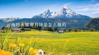 云南巧火腿荞月饼是怎么做的 云南巧火腿荞月饼是怎么做的