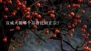 宣威火腿哪个品牌比较正宗? 宣威火腿哪个品牌比较正宗?