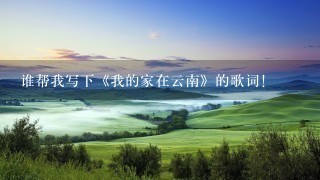 谁帮我写下《我的家在云南》的歌词! 谁帮我写下《我的家在云南》的歌词!
