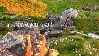 正宗的宣威火腿很咸吗? 正宗的宣威火腿很咸吗?