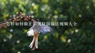 怎样如何做正宗煲仔饭做法视频大全 怎样如何做正宗煲仔饭做法视频大全