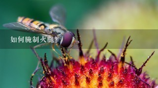 如何腌制火腿? 如何腌制火腿?