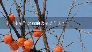 有“南腿”之称的火腿是什么? 有“南腿”之称的火腿是什么?