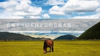 在哪里可以买到正宗的宣威火腿? 在哪里可以买到正宗的宣威火腿?