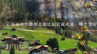 云南禄劝的撒坝火腿比起宣威火腿,哪个更好吃一点? 云南禄劝的撒坝火腿比起宣威火腿,哪个更好吃一点?