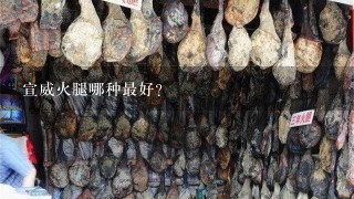 宣威火腿哪种最好? 宣威火腿哪种最好?